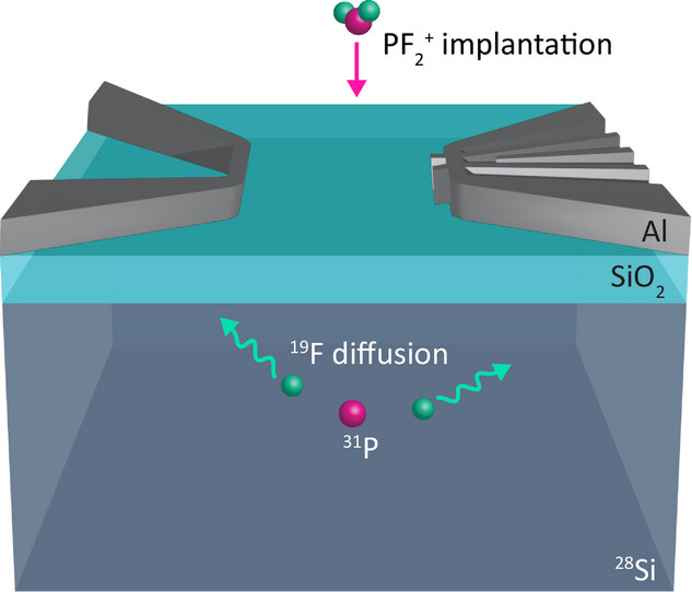 A donor spin qubit device fabricated using the implantation of PF2+ molecule ions