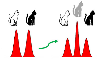 creation of a photonic 'Schrödinger cat state'
