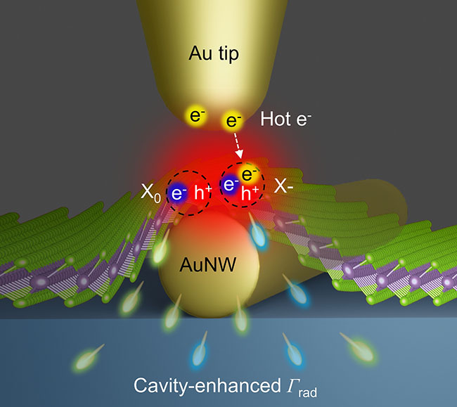 Illustration of exciton-trion interconversion using a tip-enhanced cavity-spectroscopy system
