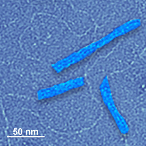 Four DNA nanostructures, two butted up against each other, highlighted in this electron microscope image