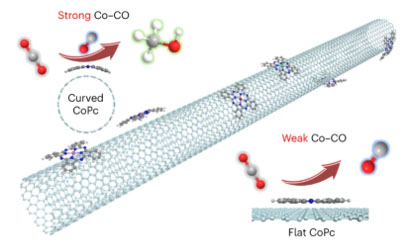 curved single-walled carbon nanotube surface for catalysis
