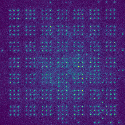 Quantum processor architecture with 441 single-atom qubits arranged in a defect-free target structure of 49 clusters, each with 9 qubits