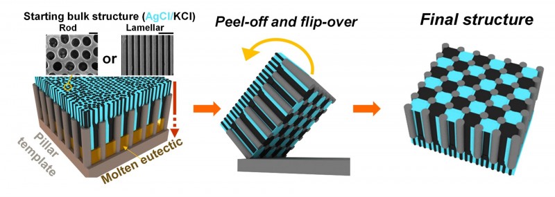 Schematic illustration of the template-directed eutectic solidification process