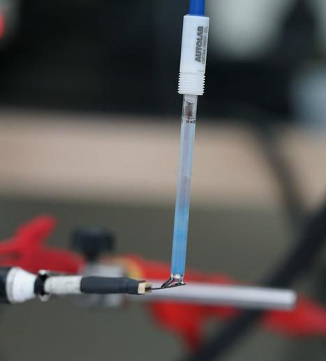 Biosensor determines meat freshness by detecting HXA