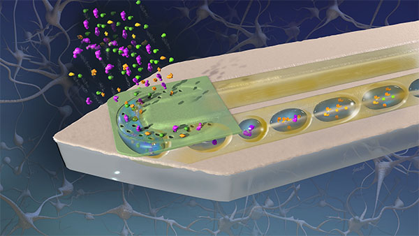 nanosensor for biomedical research