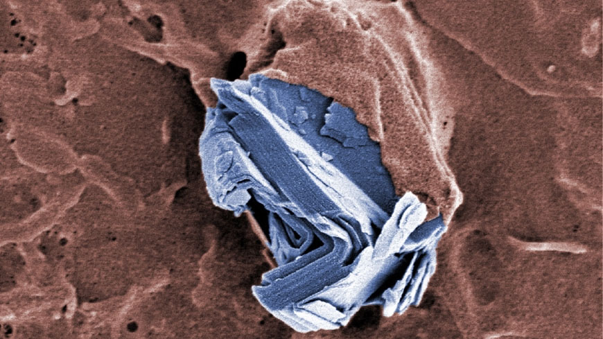 graphene, Colored scanning electron microscopy