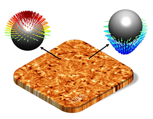 Direct observation of antiferromagnetic merons and antimerons