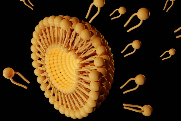 lipid nanoparticles