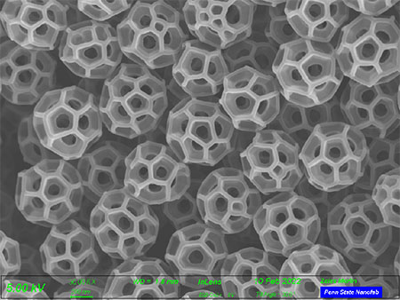 Brochosomes