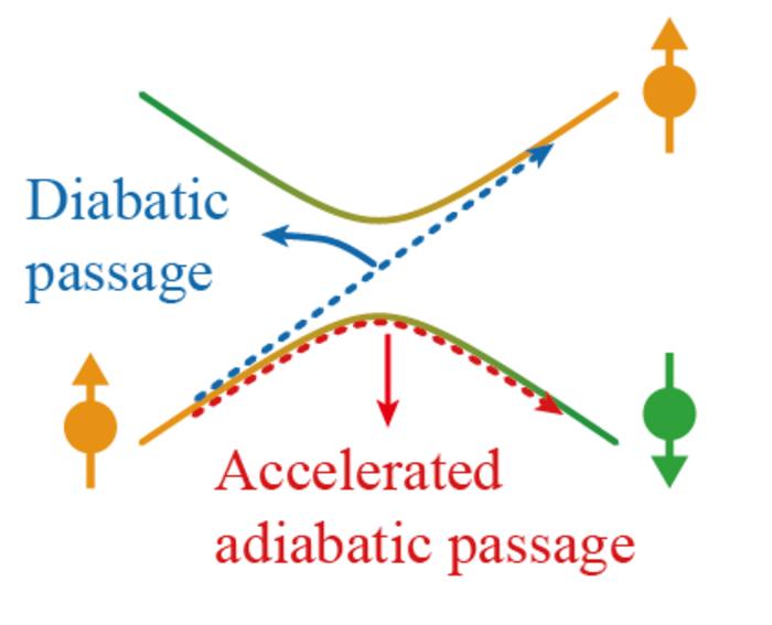The passage of spin state under rapid adiabatic evolution with (red dashed line) and without (blue dashed line) acceleration