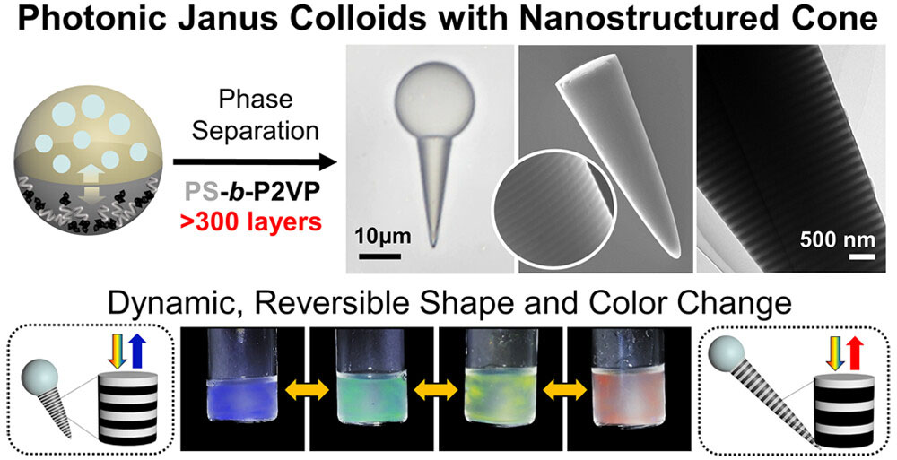 Photonic Janus Colloids with Nanostructured Cone