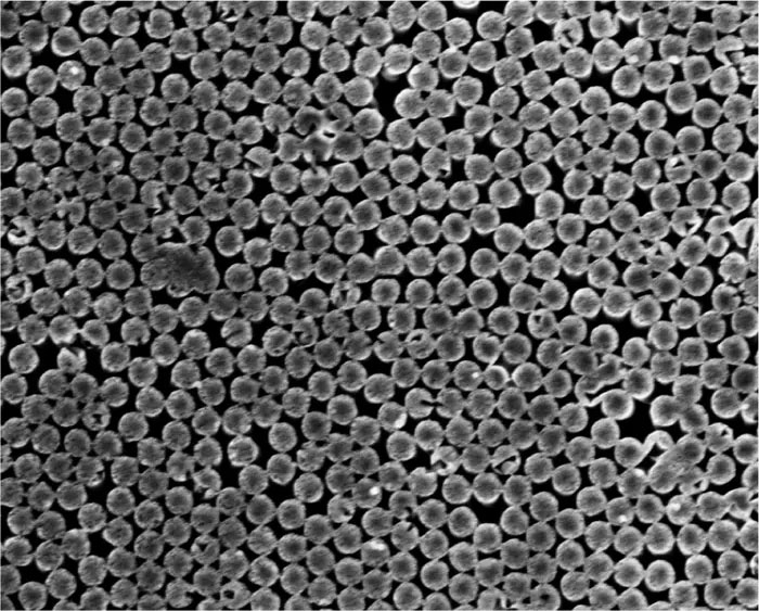 Scanning electron microscope image of the silicon nanopillars