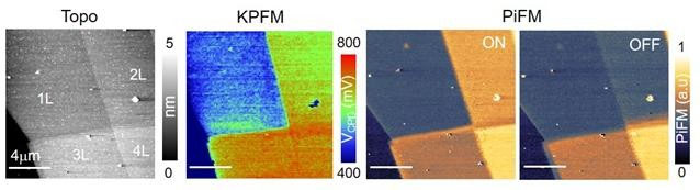 Hybrid nano-imaging results of bilayer graphene