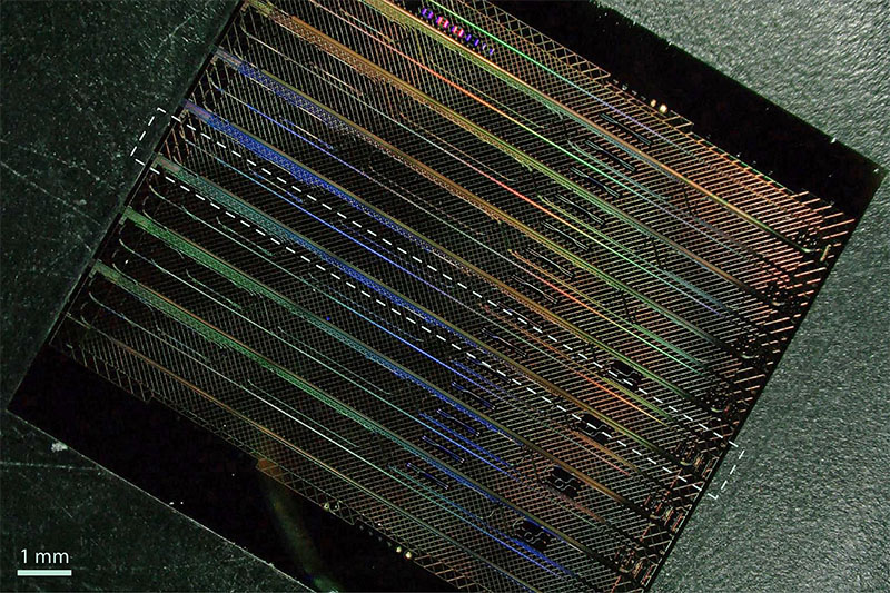 A microscope image showing a thin-film lithium niobate chip that contains eight FM-OPO devices