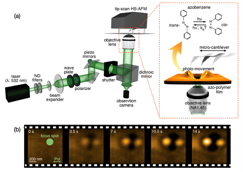 high-speed atomic force microscopy integrated with the laser irradiation system