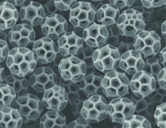 Buckyball-shaped nanostructures on backyard insect inspire invisibility devices