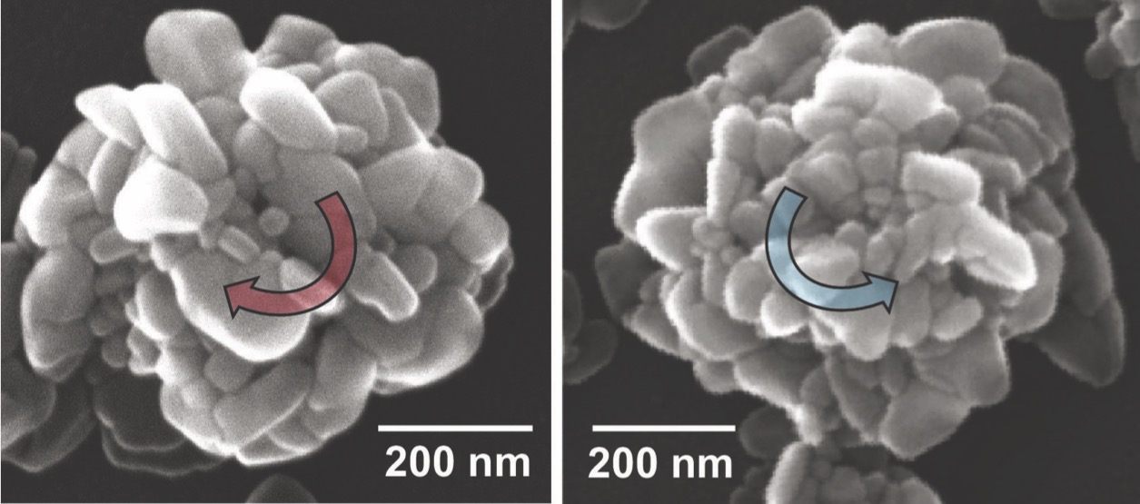 Scanning electron microscope (SEM) image of nanohelicoids formed using left helical light and right helical light respectively