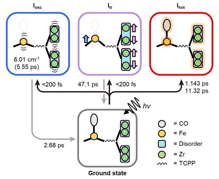 Photoinduced trifurcating structural changes of PCN–224(Fe) observed by means of TR-SFX