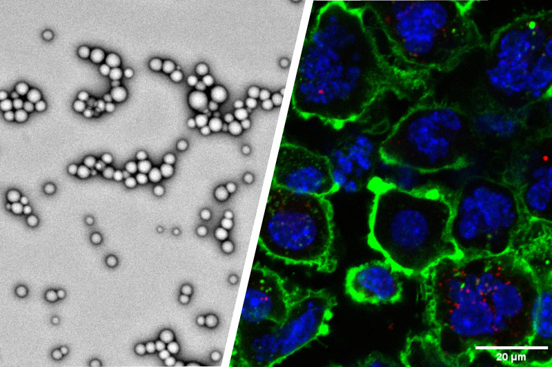 nanoparticles to enhance immunotherapy effects against tumors