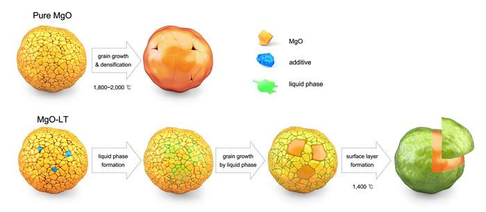 A schematic diagram illustrating the grain growth process during the sintering of pure MgO and developed MgO a with smooth surface
