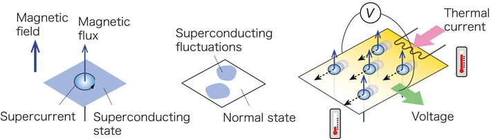 Two Types of Fluctuations in Superconductors and their Detection by Thermoelectric Effect