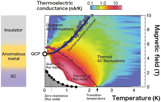 Color map of a thermoelectric signal that captures the fluctuations in superconductivity