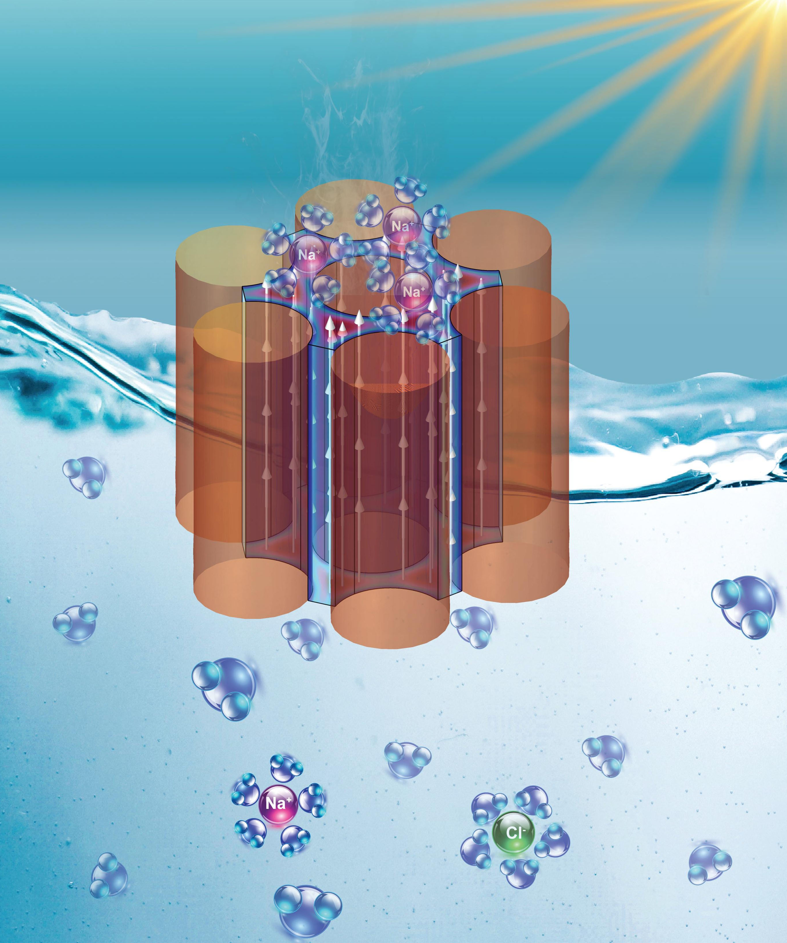 Schematic of an evaporation-driven hydrovoltaic system
