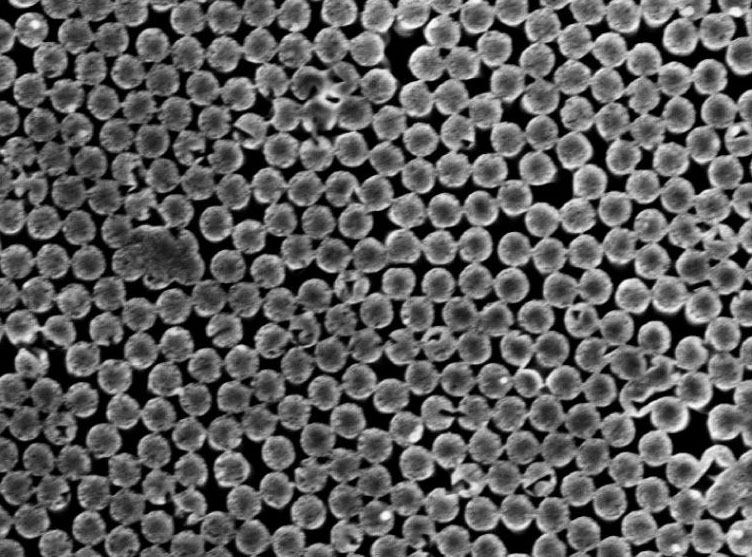 Scanning electron microscope image of the silicon nanopillars