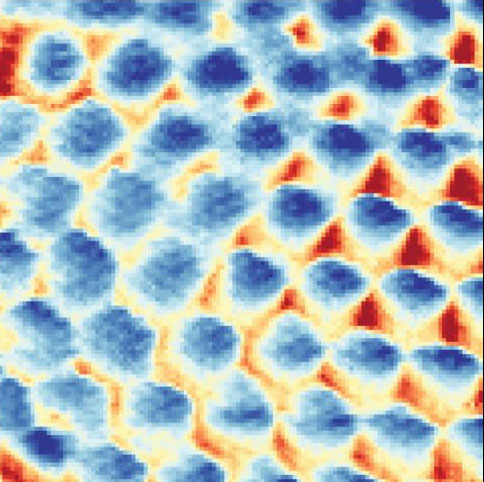 Image of a Wigner crystal