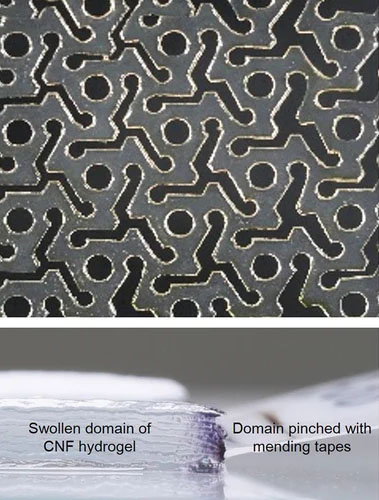 A Kirigami pattern of the hydrogel (top) and the hydrogel swollen from dry state (bottom).