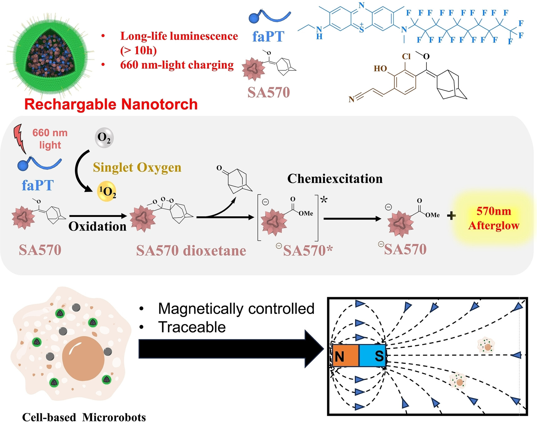 Rechargeable Afterglow Nanotorches for In Vivo Tracing of Cell-Based Microrobots