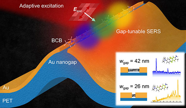 A Raman sensor featuring tunable gap fabricating of gold nanogaps on a flexible substrate, facilitating easy bending