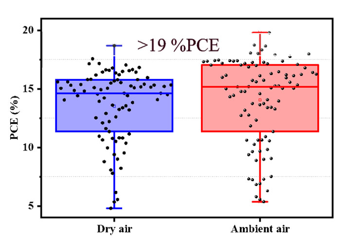 The box chart statistics show efficiencies of solar cells that were manufactured under controlled conditions compared to solar cells that were annealed in ambient air