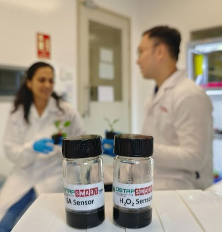 Photo of salicylic acid (SA) and hydrogen peroxide (H2O2) sensor solutions