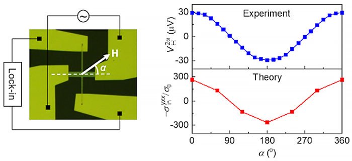 In a Hall bar device of Mn3Sn/Pt under a magnetic field H (left), the second-order Hall effect is obtained from the experiment and the theoretical modeling based on the quantum metric (right).