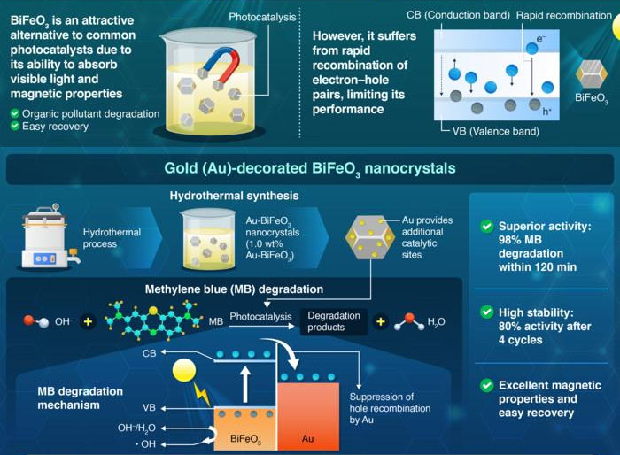 Au-BiFeO3 nanocrystals are efficient and sustainable photocatalysts for environmental purification, offering insights into advanced material design for solar energy utilization.
