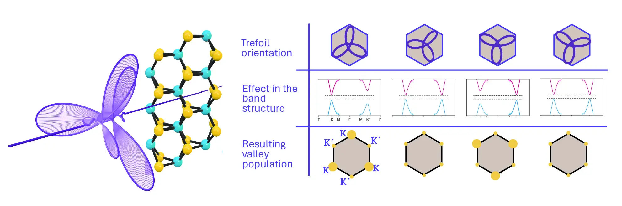 Schematic of the valley polarization effect, where the incident trefoil field (in purple) causes valley polarization in the bulk material MoS2. This effect can be controlled by rotating the field with respect to the material.