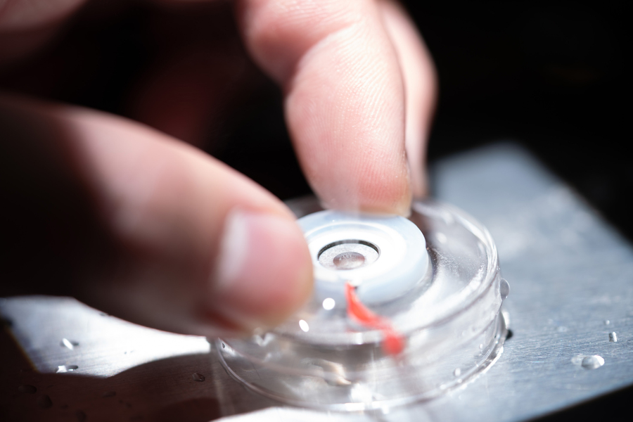 a lab device designed to measure the photomolecular effect, using laser beams