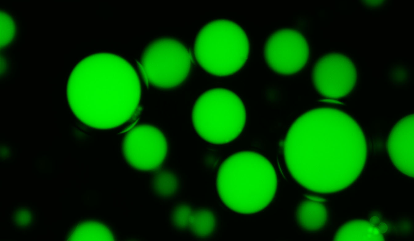 Fluorescence microscopy photo of the laser-activated microdroplets