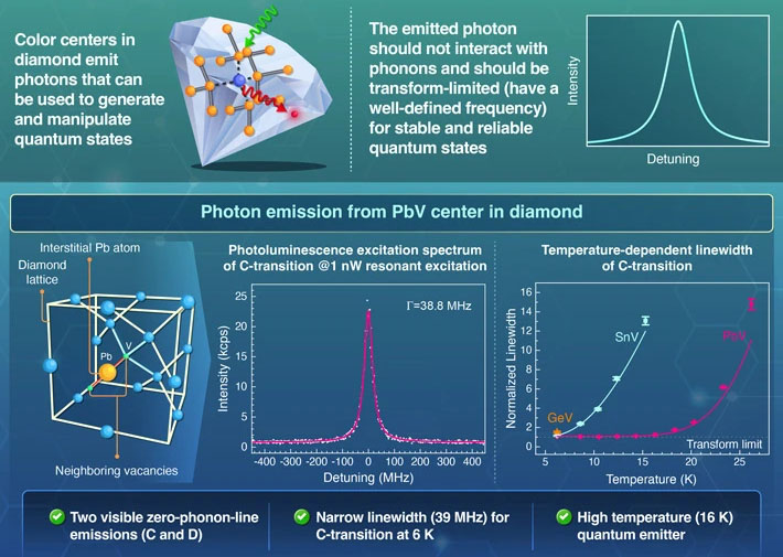 Lead-Vacancy Centers in Diamond as Building Blocks for Large-Scale Quantum Networks