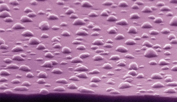Scanning Electron Microscope (SEM) image of the copper dewetted nanoparticles with antimicrobial properties over the glass substrate.