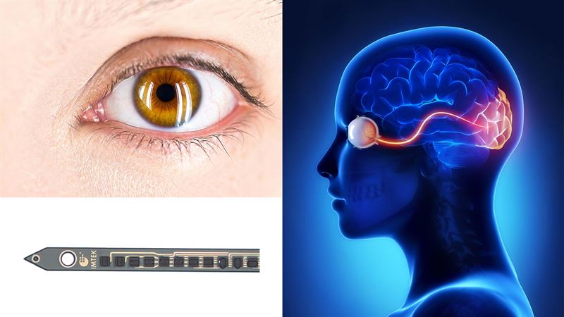 neuron sized vision implant