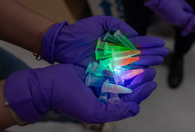 vials of colorful liquids