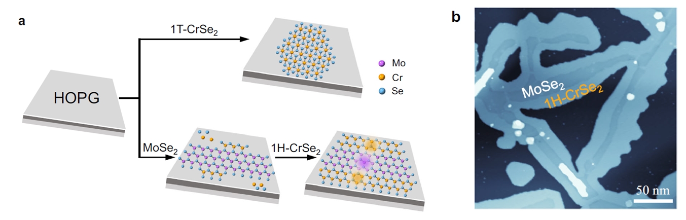 epitaxial growth of T-phase and H-phase CrSe2