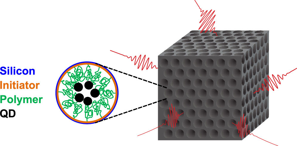 Strongly Inhibited Spontaneous Emission of PbS Quantum Dots Covalently Bound to 3D Silicon Photonic Band Gap Crystals