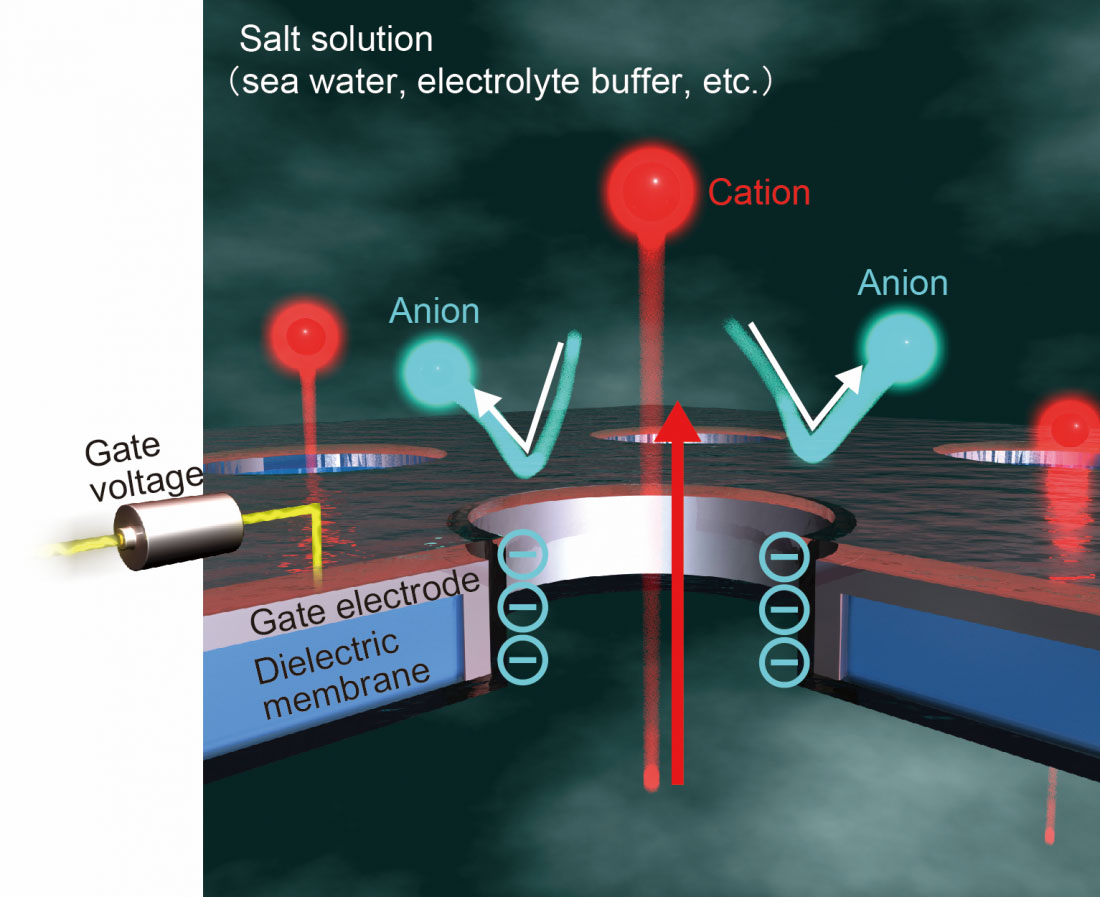Schematic illustration depicting gate voltage control of ion selectivity in a nanopore
