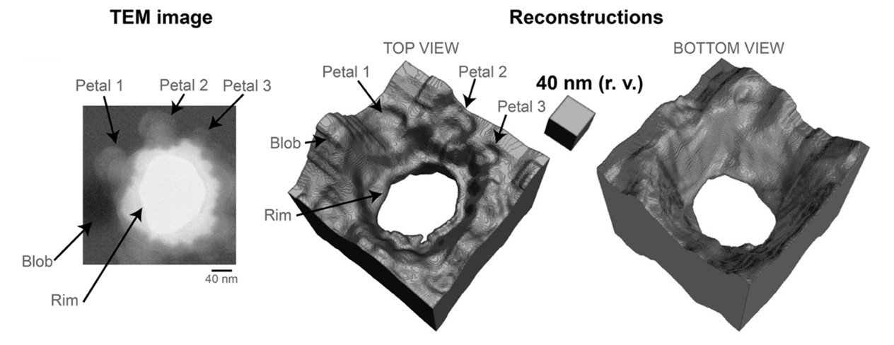 Figure shows from left to right: An energy-filtered transmission electron microscopy image of a specimen with features on either side, including a nano-pit etched through an amorphous silicon nitride (SiNx) membrane; the top view of the 3D reconstruction that shows etching artifacts such as the rim, petals and a debris blob; the bottom view shows the widening of the nano-pit opening towards the bottom surface.