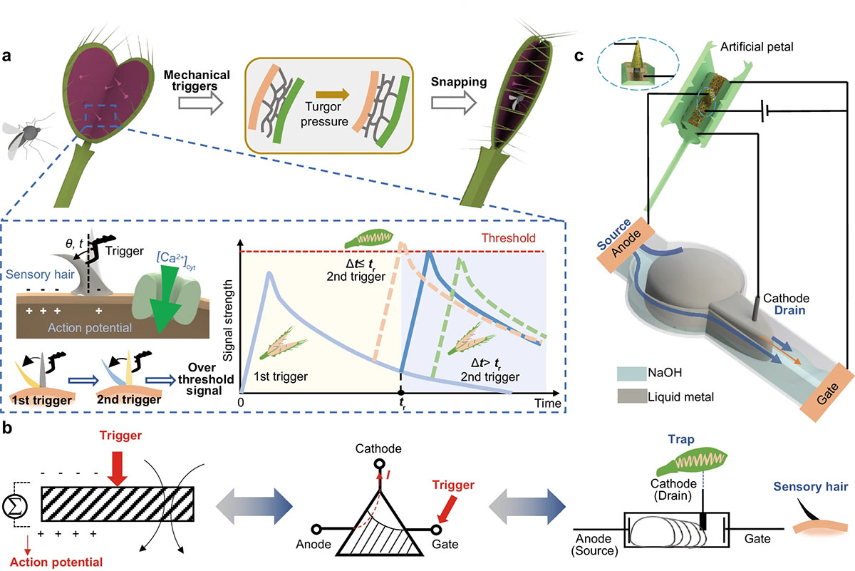 Venus flytrap-inspired liquid metal-based logic module