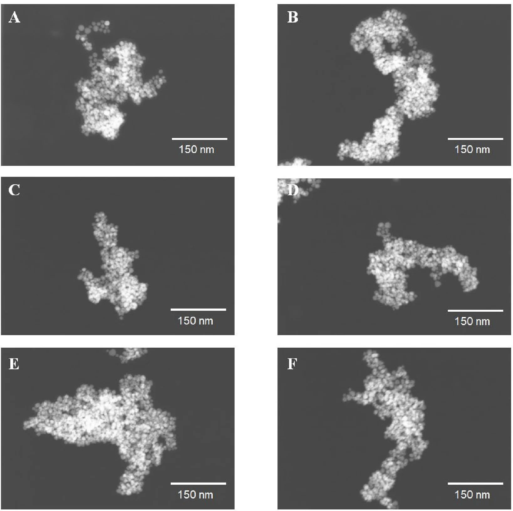 shaped nanoparticles synthesized by enzyme treatment