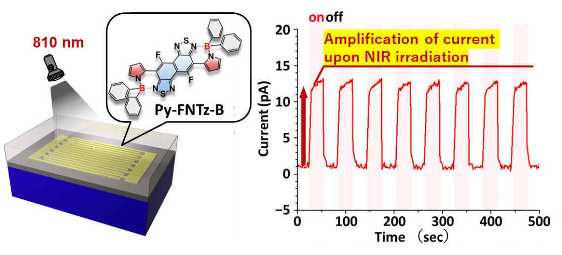 Organic phototransistor based on Py-FNTz-B